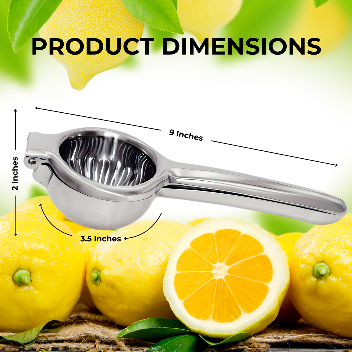 Valtify Stainless Steel Lemon Squeezer - Large